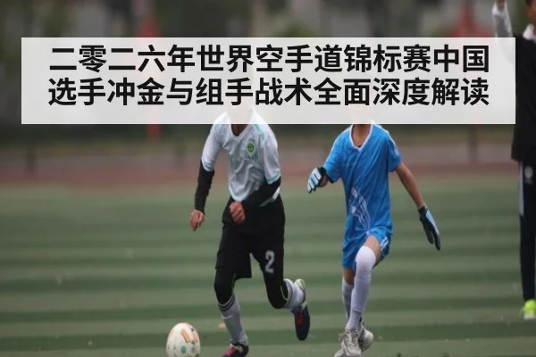 二零二六年世界空手道锦标赛中国选手冲金与组手战术全面深度解读