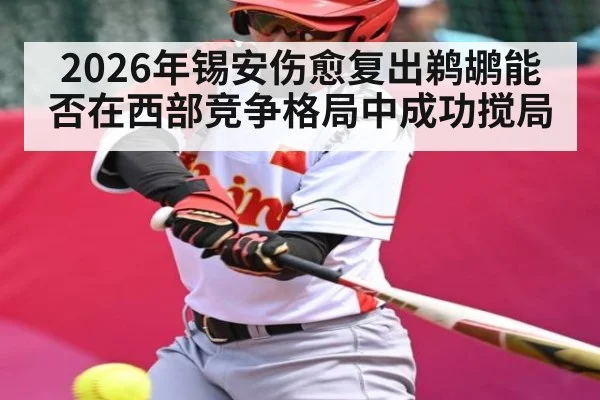 2026年锡安伤愈复出鹈鹕能否在西部竞争格局中成功搅局